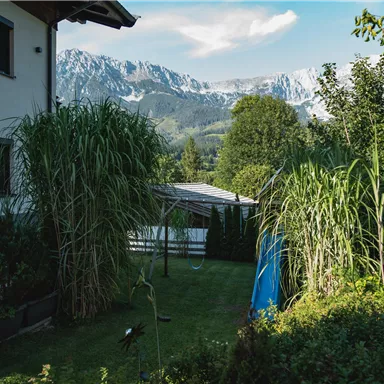 A green garden landscape with tall plants and a view of the mountains in the background. The sky is blue with a few clouds.