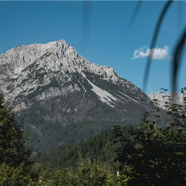 A majestic mountain with a gravelly landscape and green forest in the foreground. The sky is clear and blue, with a few clouds.