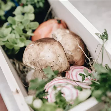A wooden box with fresh mushrooms and colorful vegetables. Some herbs are also growing alongside it.