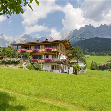 Ein charmantes Holzhaus mit bunten Blumenbalkonen in einer grünen Wiesenlandschaft. Im Hintergrund sieht man majestätische Berge und einen klaren Himmel.