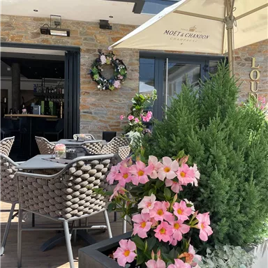 Ein gemütlicher Außenbereich mit geflochtenen Stühlen und einem Tisch. Bunte Blumen und grüne Pflanzen verschönern die Terrasse.