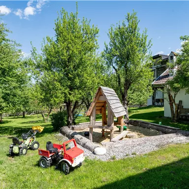 A well-maintained garden with a playhouse and toy cars. Surrounding it are trees, and a blue sky can be seen.