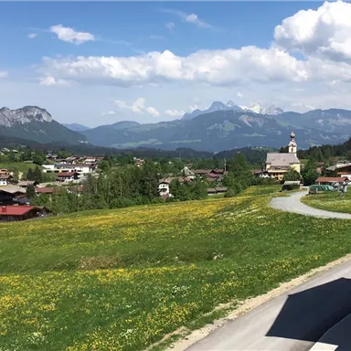 A picturesque landscape with green meadows and colorful flowers. In the background, majestic mountains rise and a small village with a church.