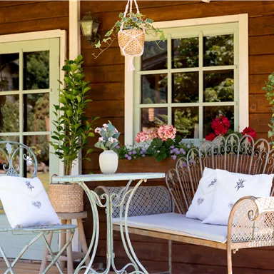 A cozy porch with a round table and two chairs.
Surrounded by plants and blooming flowers in pots.