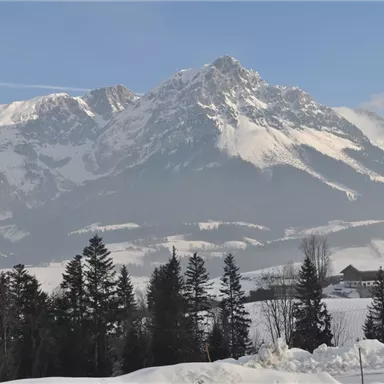 An impressive mountain landscape with snow-covered peaks and a clear sky. In the foreground stand coniferous trees and a rural settlement.