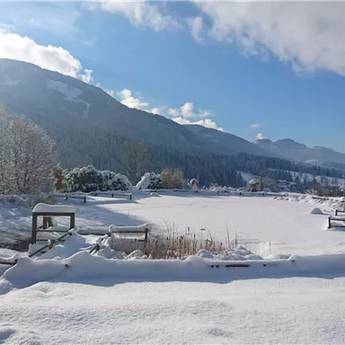Eine verschneite Landschaft mit Bergen im Hintergrund und strahlend blauem Himmel. Der gefrorene Teich ist von schneebedeckten Pflanzen umgeben.