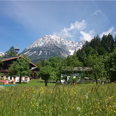A green meadow with colorful flowers and a traditional building. In the background, snow-covered mountains rise under a clear blue sky.