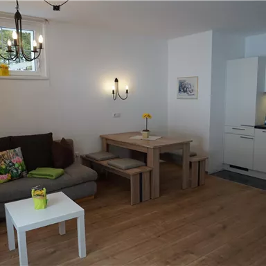 Ein modernes Wohnzimmer mit einem gemütlichen Sofa und einem Tisch aus Holz. Die Küche ist offen und gut ausgestattet.