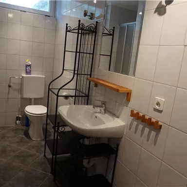 Ein modernes Badezimmer mit gefliesten Wänden. Es gibt ein Waschbecken, eine Toilette und eine Dusche in einem hellen Raum.