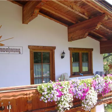A cozy balcony with colorful flowers and wood paneling. In the background, a sunny day is visible, perfect for a relaxing stay.