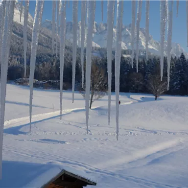 Eine winterliche Landschaft mit schneebedeckten Feldern und majestätischen Bergen im Hintergrund. Eiszapfen hängen von einem Dach über dem schneebedeckten Boden.
