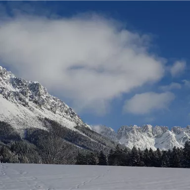 Schneebedeckte Berge unter einem klaren blauen Himmel. Im Vordergrund erstreckt sich eine weiße, winterliche Landschaft.