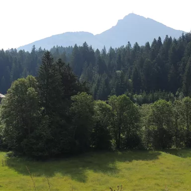 A picturesque landscape with dense forests and gentle hills. In the background, a tall mountain rises into the clear sky.