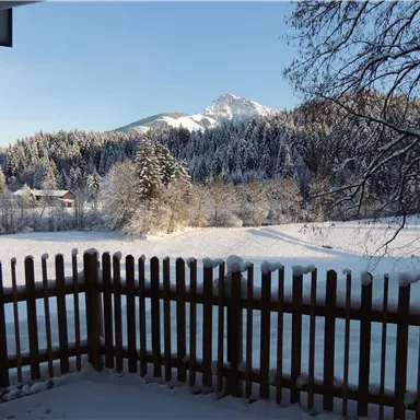 Eine verschneite Landschaft mit einem Blick auf einen Berg und Nadelbäume. Der Himmel ist klar und blau, und eine Holzlattenzaun umrahmt die Szene.
