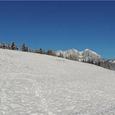 A snowy landscape under a radiant blue sky. In the background, snow-covered mountains and frozen trees can be seen.