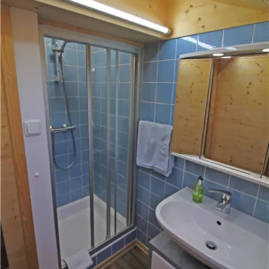 A modern bathroom with a shower cabin and a sink. The walls are tiled in blue, and there is a wooden ceiling beam.