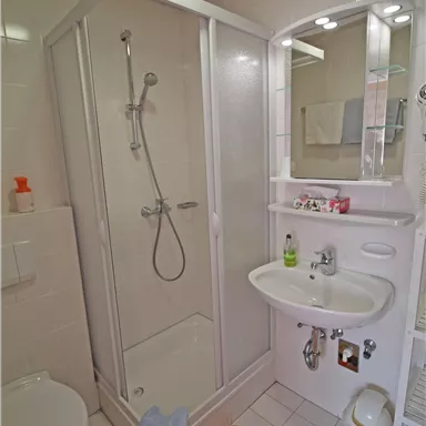 A small, modern bathroom with a shower cabin, a sink, and a toilet. The floor is decorated with a carpet featuring butterflies.
