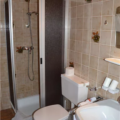 A small bathroom with a shower, a toilet, and a sink. The walls are decorated with tiles and there are practical shelf spaces.