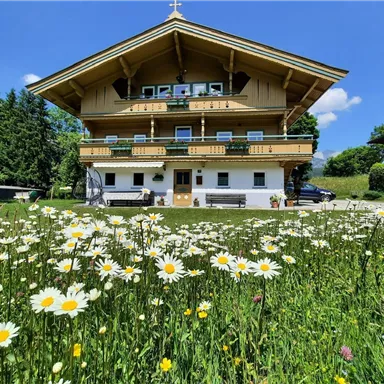 Our guests Uta and Uli were thrilled with the flower meadow in front of the house.