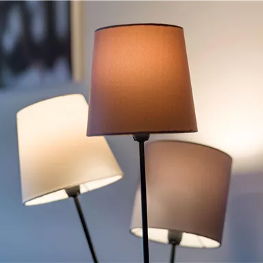 Three lamps with different shade colors are in a room. The lighting creates a cozy atmosphere.