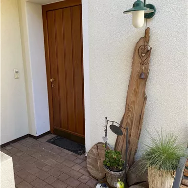 An inviting wooden front door with a wall lamp next to it. In front of the door, there is a small arrangement of plants and a decorative piece of wood.