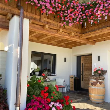An inviting entrance area with colorful potted flowers and a wooden veranda. The facade is bright, featuring a beautiful door and carefully designed decor.