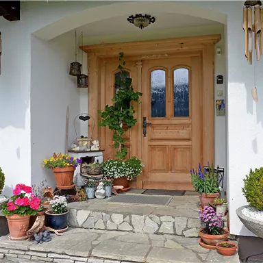 An inviting front door with wooden design and large windows. The entrance is adorned with various plants and flowers in pots.