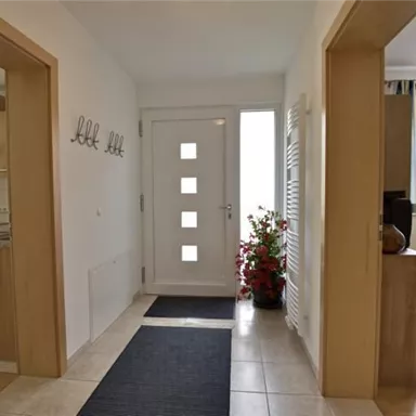 A bright hallway with a modern front door and a carpet. The walls feature separate entrances to other rooms, and a plant adds color.