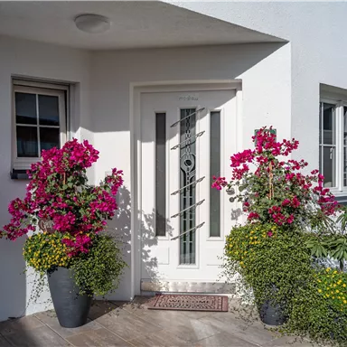 An elegant entrance area with a modern door and colorful flowers in large pots. The plants give the entrance an inviting atmosphere.