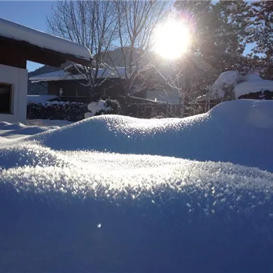 A snow-covered landscape with gentle hills and the sun shining on the horizon. Trees and a building are visible in the background.