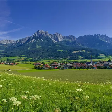 An impressive mountain landscape with tall peaks and green meadows. In the foreground, small houses and blooming flora can be seen.