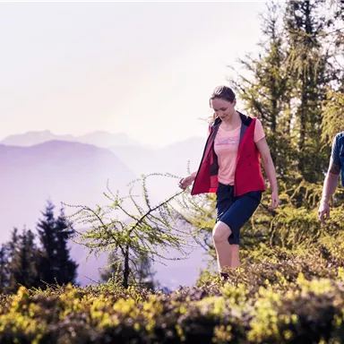 Two hikers enjoy nature in the mountains. They are surrounded by trees and a picturesque landscape.