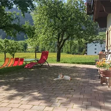 A sunny courtyard with red loungers and a resting kitten. In the background, green meadows and trees are visible.