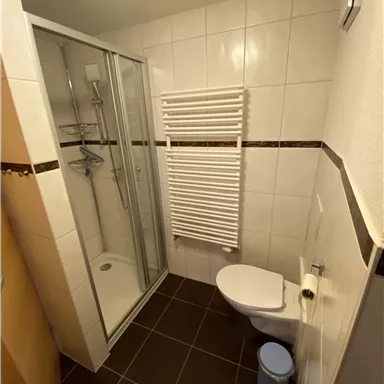 Ein kleines Badezimmer mit Dusche, WC und einer Waschmaschine zur kostenlosen Benützung