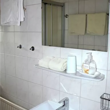 A simple bathroom with a sink and a mirror. Towels and toiletries are neatly stored.