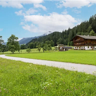 Eine idyllische Landschaft mit grünen Wiesen und einem klaren Himmel. Im Hintergrund sind Berge und traditionelle Bauernhäuser zu sehen.