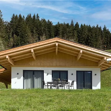 A modern house with wooden cladding in the middle of a green meadow. In the foreground, there are chairs and a table on the terrace.