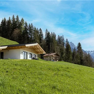 A modern house is situated in a green meadow landscape, surrounded by trees. In the background, there are mountains and a clear blue sky.