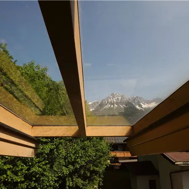 A view through a large wooden-framed window of snow-covered mountains. The surroundings are green and sunny.