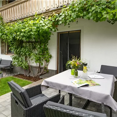 Ein gemütlicher Außenbereich mit einem Tisch und Stühlen, umgeben von Weinreben. Der Rasen und die Pflanzen schaffen eine angenehme Atmosphäre.