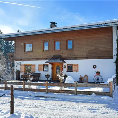 A charming wooden house in the snow with a clear blue sky. Surrounded by trees and a small garden, it is inviting and cozy.