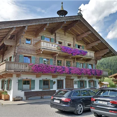 Ein traditionelles Holzhaus mit bunten Blumenkästen. Parkende Autos vor der malerischen Berglandschaft.