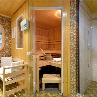 Ein gemütlicher Wellnessbereich mit einer Sauna und einer Dusche. Der Raum hat eine warme Holzverkleidung und eine entspannende Atmosphäre.