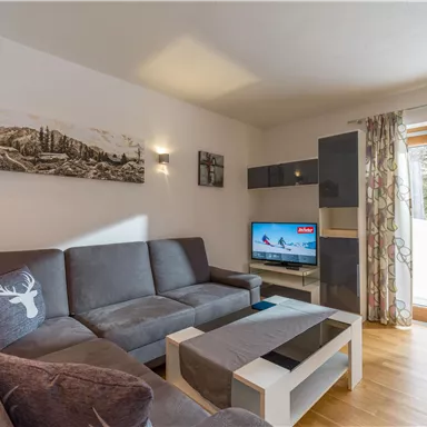 A modern living room with a gray couch and a flat-screen TV. Large windows bring plenty of daylight into the room.