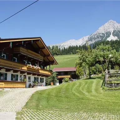Ein traditionelles Chalet mit Balkonen in einer malerischen Berglandschaft. Im Hintergrund ragt ein majestätischer Gipfel über grüne Wiesen und Bäume.
