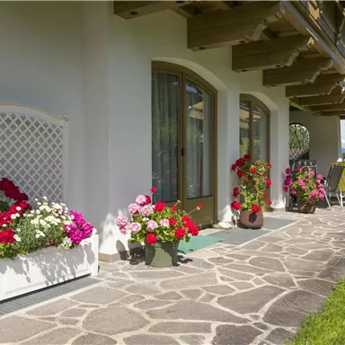 Ein schöner Eingangsbereich mit blühenden Blumen auf beiden Seiten. Die Terrasse hat eine entspannte Atmosphäre mit einem Blick ins Grüne.
