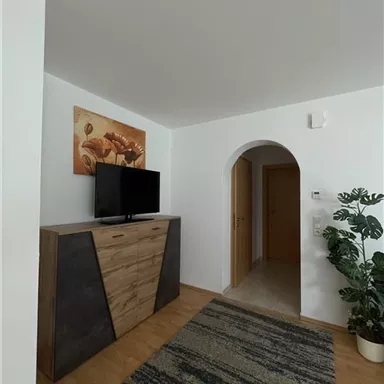 A bright apartment with a TV unit and a large plant arrangement. In the background, there is an arch leading to a hallway.