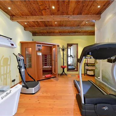 A modernly furnished fitness room with a treadmill, an infrared cabin, and a tanning bed. The walls are brightly painted and designed with wooden ceilings.