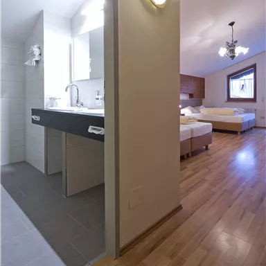 A modern room with wooden floors and a small bathroom on the left side. The bedroom is bright and cozily furnished.