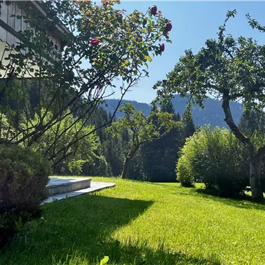 Eine grüne Wiese mit Blumen und Bäumen im Hintergrund. Im Vordergrund ist ein Haus mit Holzverkleidung zu sehen.